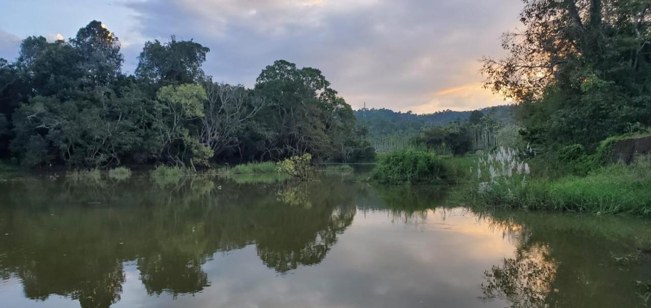 Kalidasa Tree House And Villa, Wayanad Chegāt Zewnętrze zdjęcie