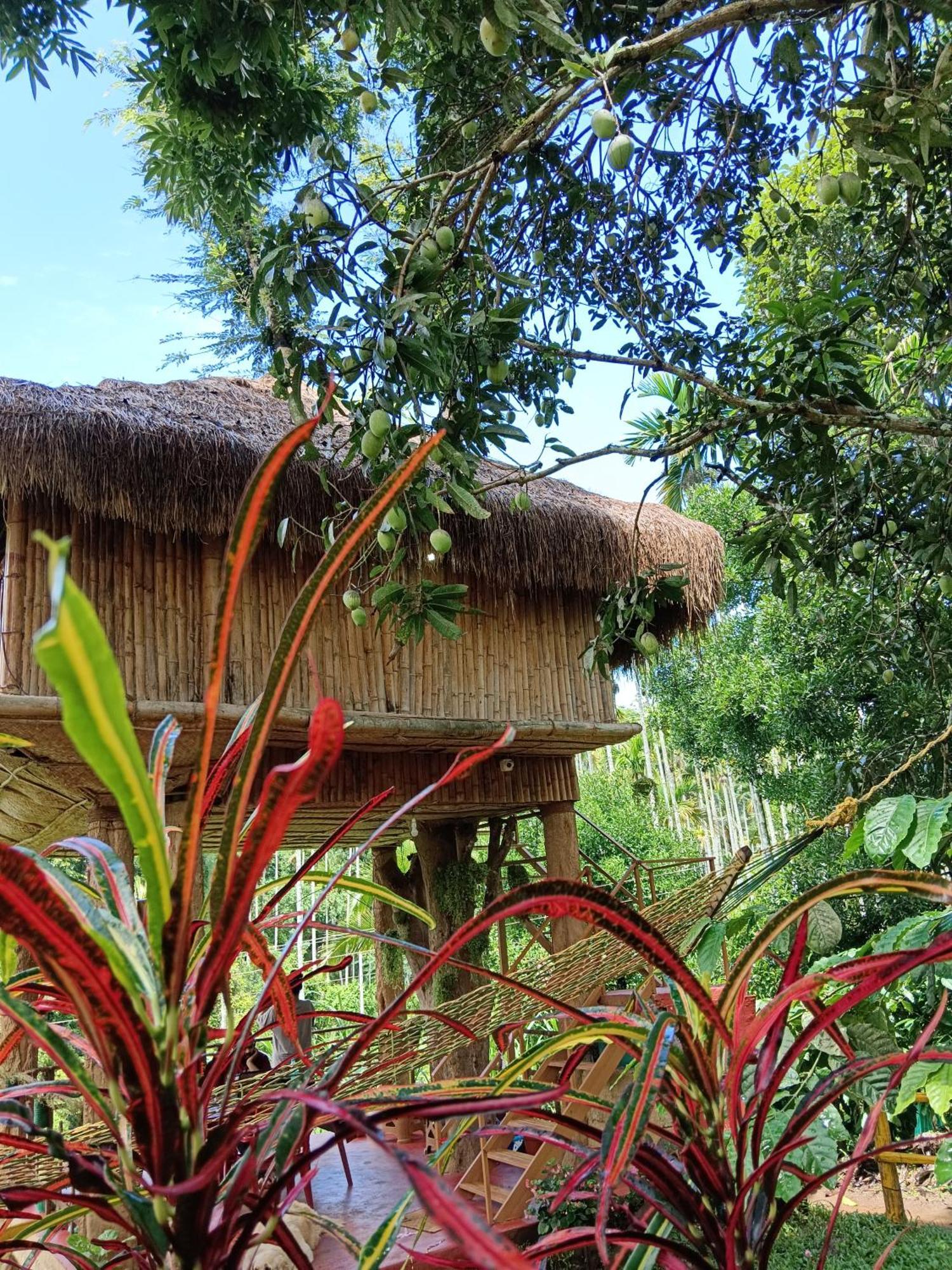 Kalidasa Tree House And Villa, Wayanad Chegāt Zewnętrze zdjęcie