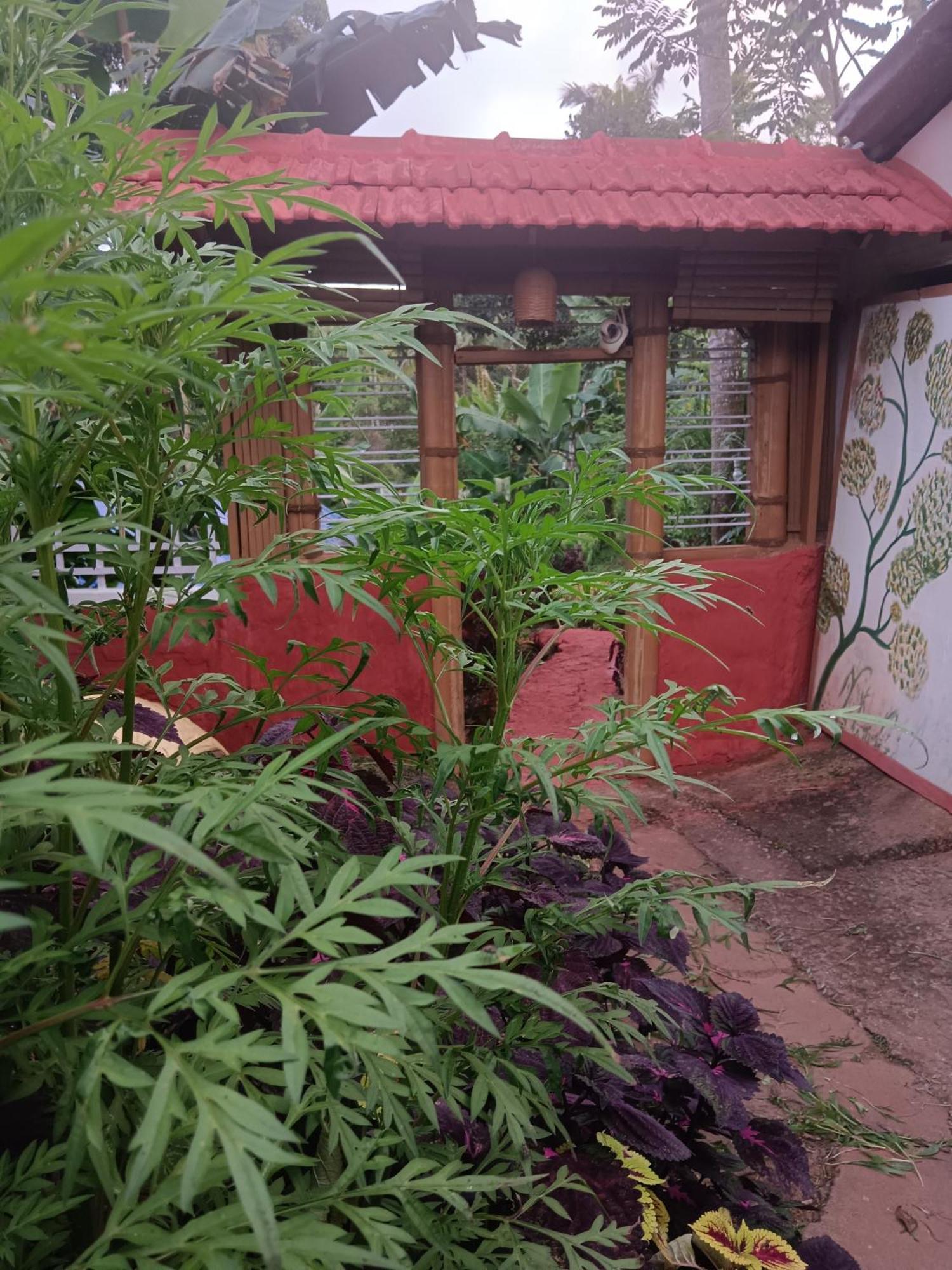 Kalidasa Tree House And Villa, Wayanad Chegāt Zewnętrze zdjęcie